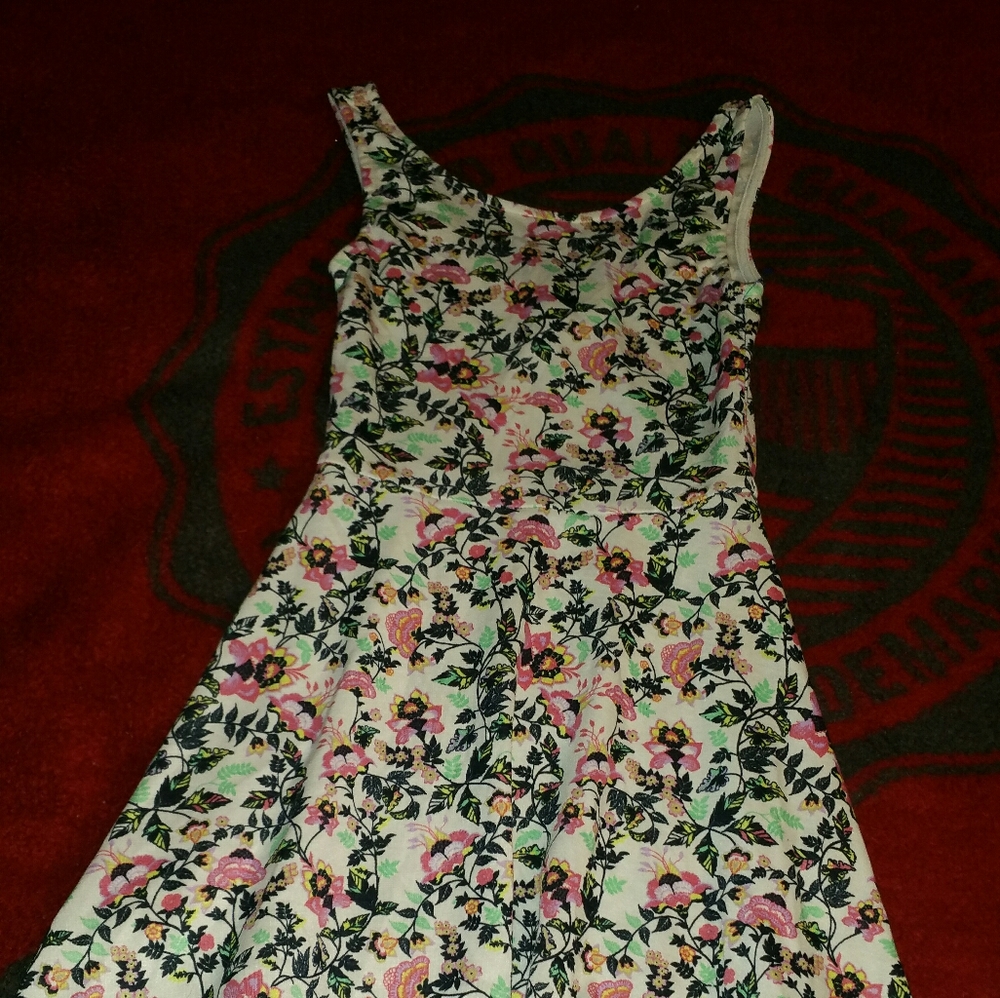 Divided dress